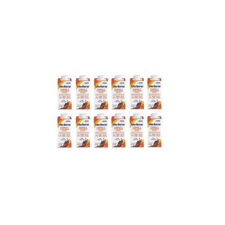 Meritene Fuerza y Vitalidad Drink Chocolate 12x180ml